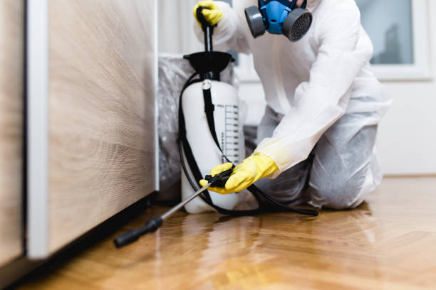 Reliable Rhinelander, WI Pest Control Solutions