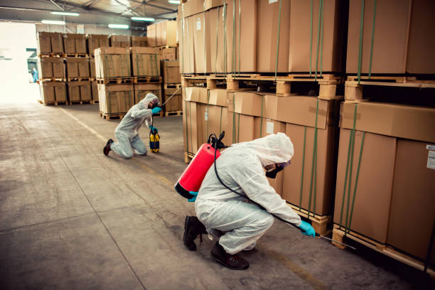 Best Rat Extermination Near Me  in Rhinelander, WI
