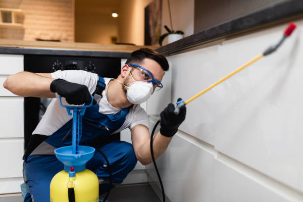 Best Wasp Removal Services  in Rhinelander, WI