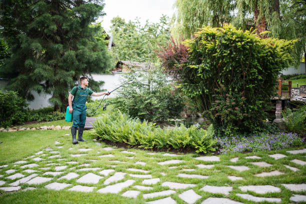 Best Best Pest Control Companies  in Rhinelander, WI