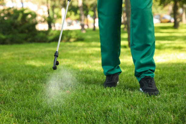  Rhinelander, WI Pest Control Pros