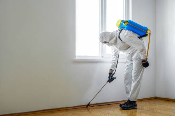 Best Exterminator Services  in Rhinelander, WI