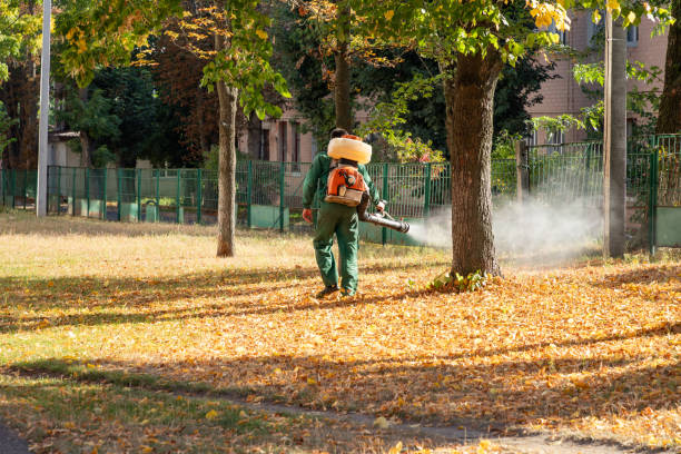 Professional Pest Control in Rhinelander, WI