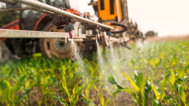 Best Mosquito Control Services  in Rhinelander, WI