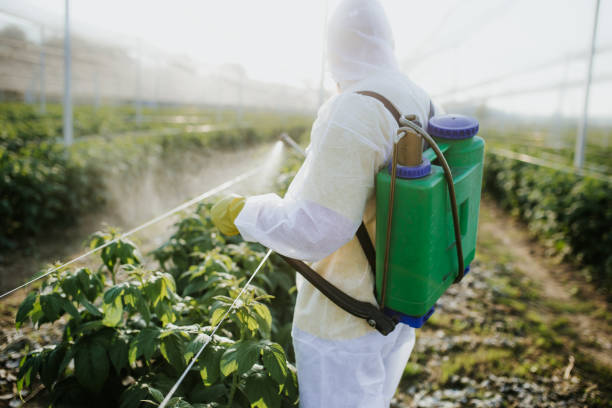 Best Cockroach Control Services  in Rhinelander, WI